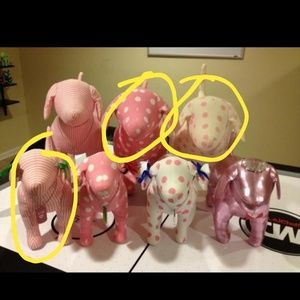 ISO these vs pink dog circled